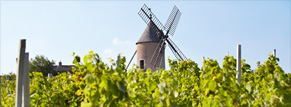 Moulin à Vent